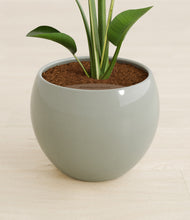 Load image into Gallery viewer, Deep Ocean stand:all
