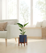 Load image into Gallery viewer, Deep Navy stand:walnut
