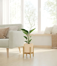 Load image into Gallery viewer, Cream stand:bamboo
