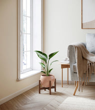 Load image into Gallery viewer, Calm Rose stand:walnut
