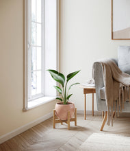 Load image into Gallery viewer, Calm Rose stand:bamboo

