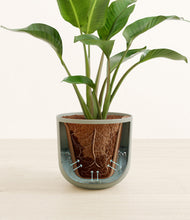 Load image into Gallery viewer, Sage Green stand:all
