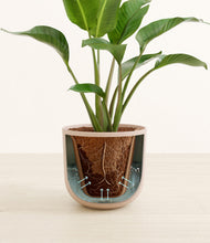 Load image into Gallery viewer, Sandy Pink stand:all
