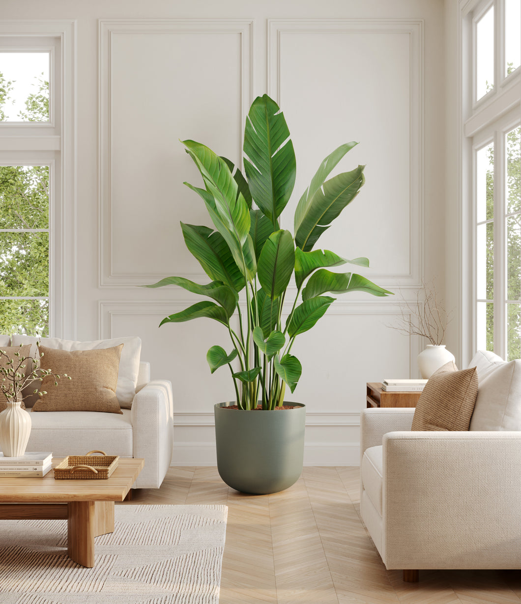 Sage Green*****Profile