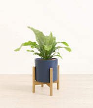 Load image into Gallery viewer, Deep Navy stand:bamboo
