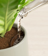 Load image into Gallery viewer, Turquoise stand:all
