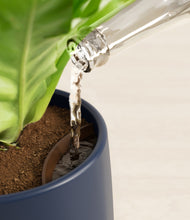 Load image into Gallery viewer, Deep Navy stand:all
