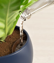 Load image into Gallery viewer, Deep Navy stand:all
