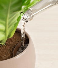 Load image into Gallery viewer, Desert Brown stand:all
