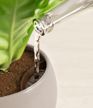 Load image into Gallery viewer, Winter Clouds stand:all
