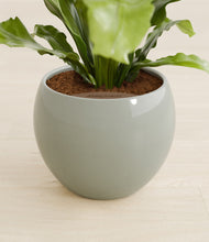 Load image into Gallery viewer, Deep Ocean stand:all
