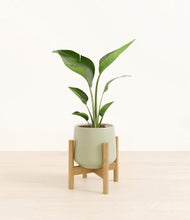 Load image into Gallery viewer, Turquoise stand:bamboo
