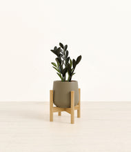 Load image into Gallery viewer, Olive stand:bamboo
