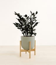 Load image into Gallery viewer, Sage Green stand:bamboo
