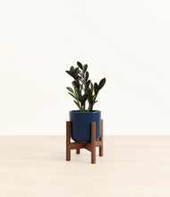 Load image into Gallery viewer, Twilight Blue stand:walnut
