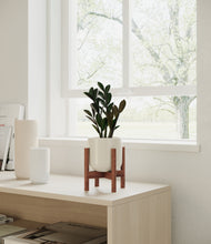 Load image into Gallery viewer, Cotton White stand:walnut
