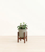 Load image into Gallery viewer, Sage Green stand:walnut
