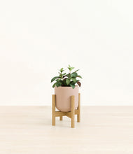 Load image into Gallery viewer, Sandy Pink stand:bamboo
