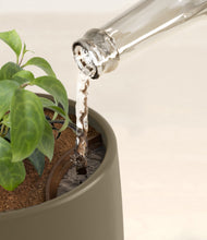 Load image into Gallery viewer, Olive stand:all
