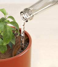 Load image into Gallery viewer, Glossy Red stand:all
