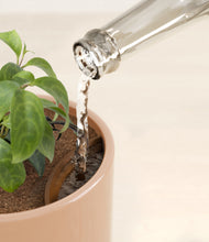 Load image into Gallery viewer, Glossy Pink stand:all
