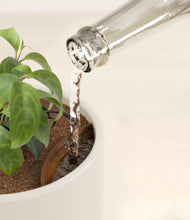 Load image into Gallery viewer, Cotton White stand:all
