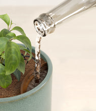 Load image into Gallery viewer, Reactive Aqua stand:all
