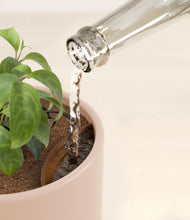 Load image into Gallery viewer, Sandy Pink stand:all
