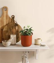 Load image into Gallery viewer, Earth Red
