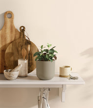 Load image into Gallery viewer, Sage Green
