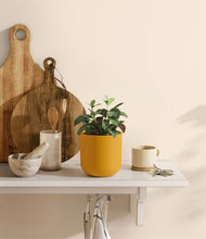 Load image into Gallery viewer, Sunset Orange
