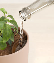 Load image into Gallery viewer, Sandy Pink stand:all
