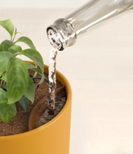 Load image into Gallery viewer, Sunset Orange stand:all
