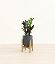 Load image into Gallery viewer, Iron Gray stand:bamboo
