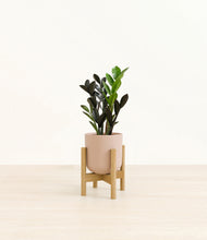 Load image into Gallery viewer, Sandy Pink stand:bamboo
