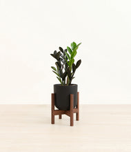 Load image into Gallery viewer, Stone Black stand:walnut
