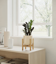 Load image into Gallery viewer, Almond Green stand:bamboo
