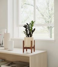 Load image into Gallery viewer, Almond Green stand:walnut

