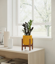 Load image into Gallery viewer, Mustard stand:walnut
