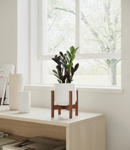 Load image into Gallery viewer, White stand:walnut
