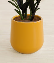 Load image into Gallery viewer, Mustard stand:all
