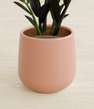 Load image into Gallery viewer, Calm Rose stand:all
