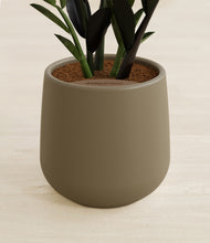 Load image into Gallery viewer, Olive stand:all
