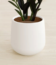 Load image into Gallery viewer, White stand:all
