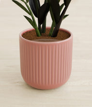 Load image into Gallery viewer, Striped Rose Pink stand:all
