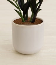 Load image into Gallery viewer, Snowdrift White stand:all
