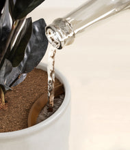 Load image into Gallery viewer, Hammered Ivory stand:all
