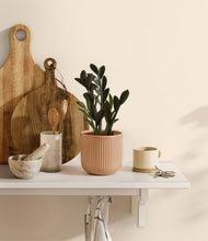 Load image into Gallery viewer, Striped Peach Pink
