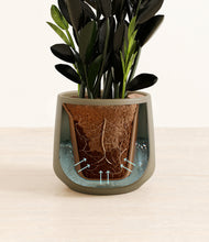 Load image into Gallery viewer, Olive stand:all
