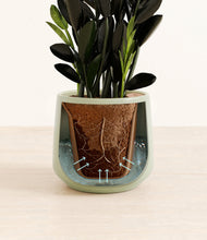 Load image into Gallery viewer, Turquoise stand:all
